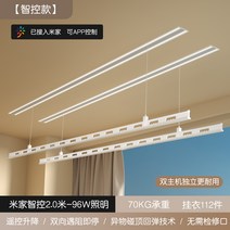 자동 미니 스텐 베란다 행주 대형 전동건조대 매립형 히든 가정용 승강수축 리모콘 스마트 빨래건조대, 29 투 스틱20베이지풀히든미카엘