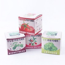 지피포트 키우기세트 봉선화 방울토마토 상추 강낭콩 0.3106ea, RA_ 강낭콩