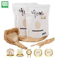 석곡농협 유기농 현미 백세미 10kg 누룽지향 가득한 골든퀸3호 2022년 햅쌀, 1개