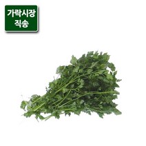 가락시장직송 처빌 100g, 단품