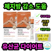 에버 가르시니아 garcinia 체지방감소도움 유산균 프로바이오틱스 다이어트 프로바이오틱스틱 가르시니아효능 14포x6박스 20대 30대 40대 직장여성 동료선물 하루한포