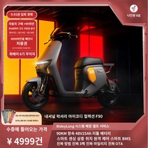 전기자전거 Ninebot 9호 전기 자전거 멀리 여행자 F90 스마트 자동차 9호 전기 자동차 새로운 국가 표준 배터리 자동차, 48V, 25AH, 푸젠성/광시성/후난성/산시성/산시성/허베이성/장시성/후