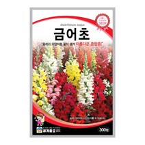 모칸도 (무배)세계 금어초 꽃씨 300립
