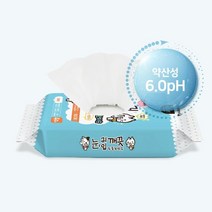 강아지 눈물자국 세안용 눈티슈 40매 강아지눈티슈 눈관리 강아지눈물냄새, 1개