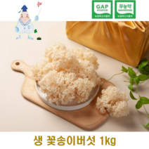생꽃송이버섯 청정농장재배 국내산 최상급 친환경 무농약 1kg, 스티로폼 안전포장, 2개