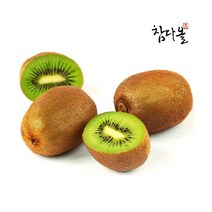[참다올] 국내산 참다래(3kg 43-47과), 상세 설명 참조