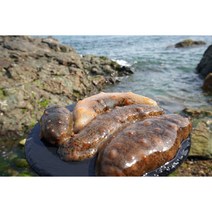 통영 자연산 활해삼 500g 1kg