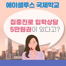 국제학교 미국학교 미국교육 입학설명회 집중진로 입학상담 5만원권 에이셀루스-72394EA, 쿠팡 본상품선택
