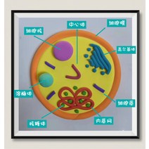 학생 과학수업 표본 진핵 세포 구조 모델 모형 학습 교구, 기본 동물세포 완제품