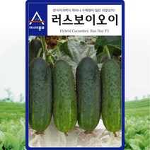 (오이씨앗종자) 러스보이오이(50립), 1개