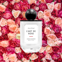 (Free Order) 비블리오떼끄 드 파팡 BDP향수 12종, 캉티크(100ml)