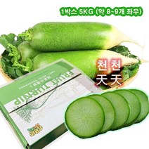 달콤아삭한 수입무우 청무우 한박스 5KG 8~9개 좌우 수입무우