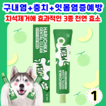 펫생각 하루치카 덴탈크린 치약 메론향 맛 강아지 치석 구취 구내염 제거 메론향 맛, 1개