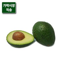팸쿡 가락시장 직송 아보카도 10개 (개당200g내외) 공유하기 페이스북 트위터 닫기