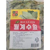 터키산 월계수잎 230g, 1개