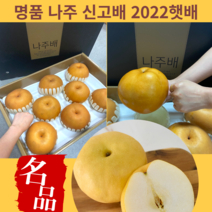 나주배 신고배 꿀배 가정용 선물용 쥬스용 프리미엄 명품 나주 신고 햇배 명절선물세트, 가정용5kg(8-10과)