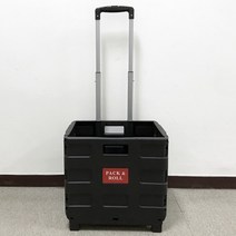 사이언쌤 바구니핸드카트