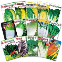 각종 가을 배추 무 씨앗 김장 무우 씨 텃밭 김장용 채소 종자 모음, 80-조선파1000립, 1개