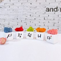 스칸디아모스 어버이날 스승의날 선물 공기정화식물 나무 액자 화분, 모스 캘리문구 5종 set-카네이션 사랑합니다