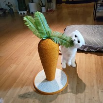 당근 모양 고양이 수직 스크래쳐코코도도125671