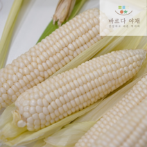 바르다야채 햇 찰옥수수/흑찰옥수수 10개입 20개입 30개입 (특품), 흑찰옥수수20개입