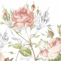 Duni 듀니 가든프라이드 182072 칵테일 냅킨 20매, 기본