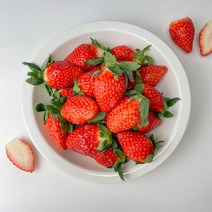 [생딸기] 당도보장 딸기 산지직송 논산 산청 장희 설향 금실 제철과일 하우스딸기, 특품(750g)