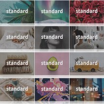 스탠다드 더스트 코일 매트 현관 발코니 베란다 미끄럼방지, Standard-0084