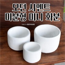 시멘트화분 미니 화이트 화분 선인장 화초 꽃 공 빈 이쁜 예쁜 분갈이, D14 14x11cm
