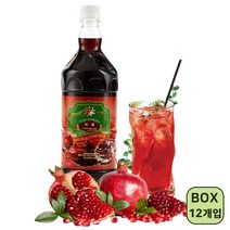 [담짜몰에스티엔-1박스12개입] STN 파워7업 석류 주스원액 1000ml액상음료과일음료(유통기한.23.12.01), 단품