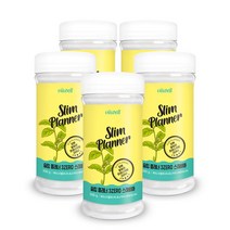 스테비아 설탕 비웰 슬림 플래너 스테비아 천연설탕 가루 300g, 5병