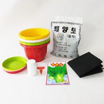 청경채키우기 7종, 단품
