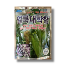 옥수수 씨앗 종자 얼룩대학찰 씨앗 2000립 감미와 찰기가 우수한 찰옥수수