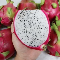 수입용과 프리미엄 열대과일 백용과 용과 2.5kg 5kg, 수입 백용과 용과 5kg