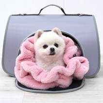 패리스독 따뜻한멀티워머(아이보리 핑크 그레이) 반려동물겨울워머