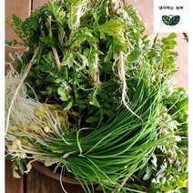 [냉이캐는농부] 서산 황토 노지 세척 냉이 500g 달래 2묶음, 500g 2묶음