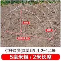 새로운 작은 아치 브래킷 야채 창고 기둥 분야 단열 FRP 단단한 유리 섬유 농업 묘목, 20개, 두께 5mm - 길이 2m
