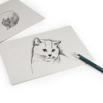 두께큰 회색 종이 카드 하드 인테리어 우수한품질 켄트지 우드락, T10-4오픈 크기 4.0밀리미터 회반죽