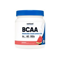 뉴트리코스트 BCAA 파우더 60회분, 64025-02. 60회분 수박맛