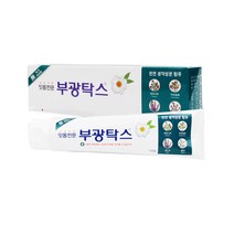 부광탁스 잇몸전문 치약 120g, 1, 단품