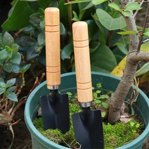 베란다 정원 옥상 텃밭 화분갈이 소형 모종삽 해루질삽 도구 어버이날선물, 원예 모종삽(그린), 갈퀴