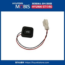 트렁크 오픈 버튼 (935552H0009P)