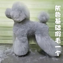 비숑 위그 애견미용 연습 전체 위그 털 머리 모델 미용사 자격증, 푸들그레이업그레이드헤어