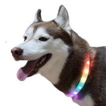 [애견라이트] 강아지 LED 목걸이 무지개 목줄 야광 팬던트 넥밴드