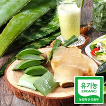 해풍맞고 자란 유기농 생알로에 베라 특 3kg, 단품