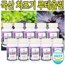 프리미엄 고농축 국내산 차즈기 차조기 차지기 차주기 차자기 붉은깻잎 보라색깻잎 루테올린 루테인 자소엽 자엽소 차 잎 캡슐 환 정 분말 가루 파우더 추출물 효능 효과 추천 10통