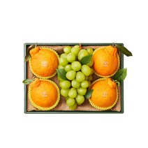 [새해토퍼증정]달콤 샤인머스캣&한라봉 1.9kg [~1/17 주문시까지 설 전 배송 이후 주문건 설 이후 순차배송]