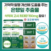 코오롱제약 고함량 징코 기억력 혈행 정맥 은행잎 추출물 뇌 건강 손발 저림 혈관 영양제 다리 종아리 순환제 부모님 집중력 나이아신 아연 판토텐산 혈액 순환 비타민, 4개(4개월)
