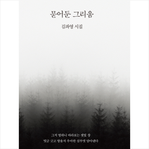 묻어둔 그리움, 코드미디어, 김좌영