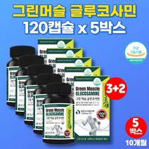 뉴질랜드 관절N 글루코사민 조인트 복합제제 서포트 무릎 연골 뼈 에 좋은 군대 PX 50대 60대 종합 영양제 보이스웰리아 보스헬리아 청홍합 푸른입홍합, 5박스